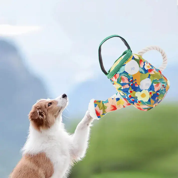 М'яка іграшка для собак Derby Pet Garden - Kettle Shaped Dog Plush Toy with Rope - фото 3