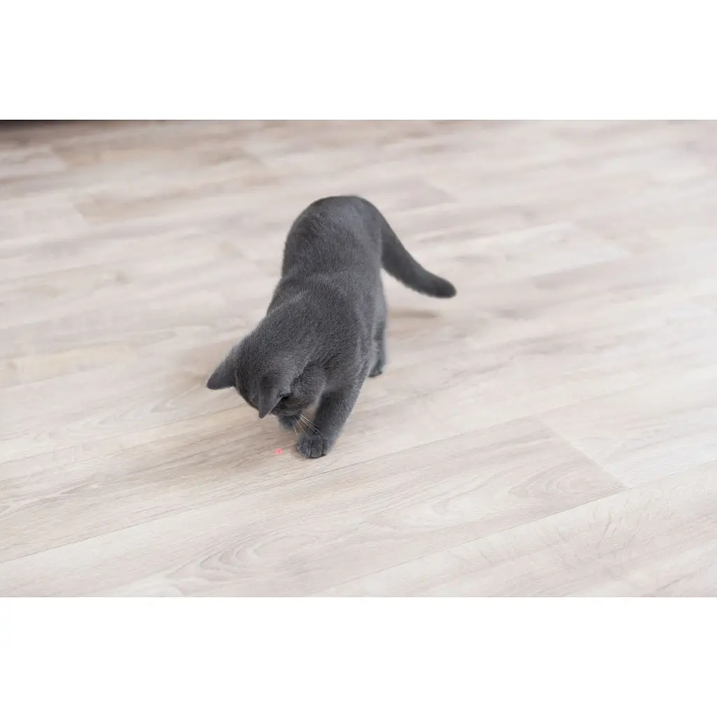 Игрушка для кошек Trixie Moving Light Лазерная указка 11 см (41311) - фото 4
