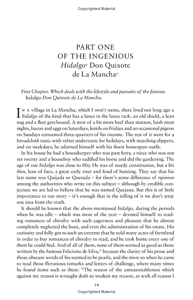 Don Quixote - фото 3