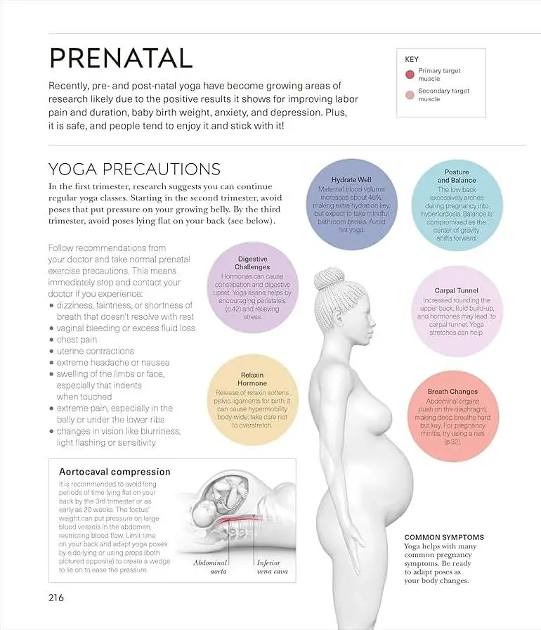 Science of Yoga. Understand the Anatomy and Physiology to Perfect Your Practice - фото 7
