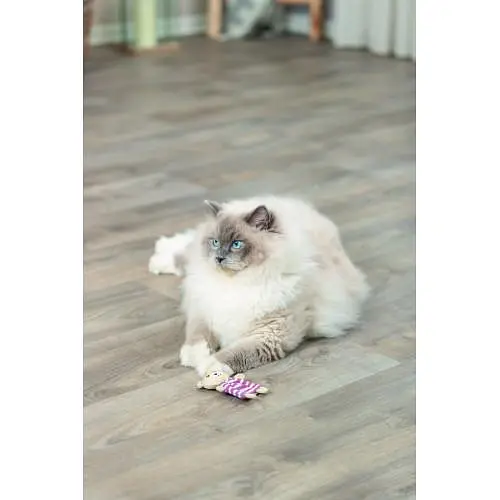 Іграшка Trixie Ведмідь тканинний з котячою м'ятою для котів 12 см - фото 8