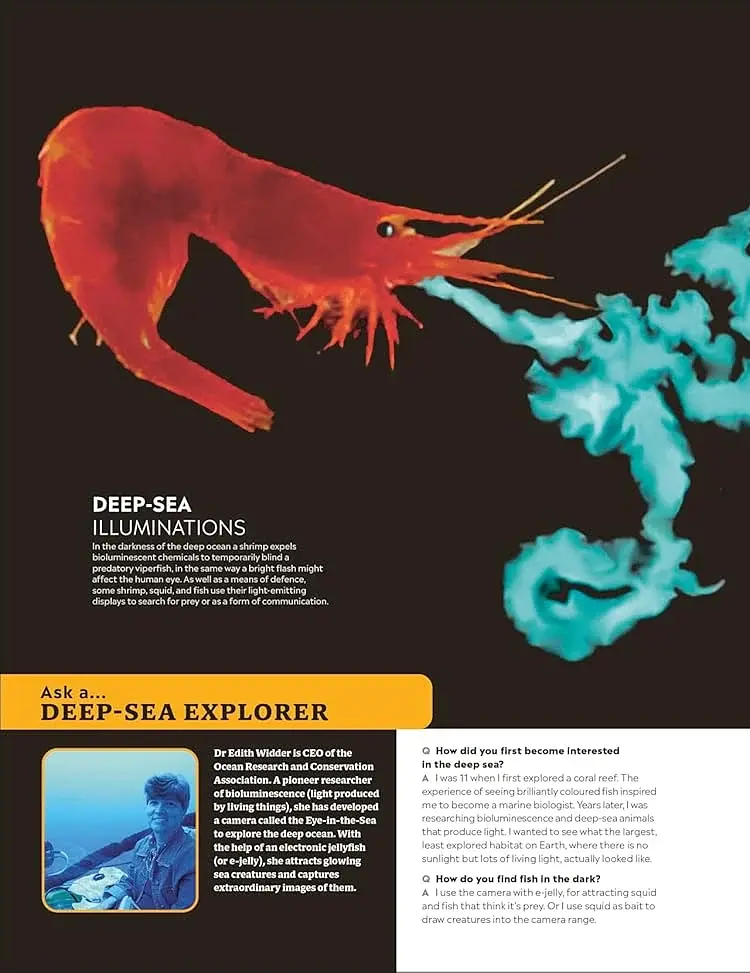Eyewitness Encyclopedia of Animals - фото 4