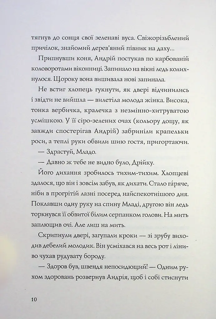 Книга Жорж Витязь та Вірлиця / Наталія Довгопол українською kni0004609 - фото 6