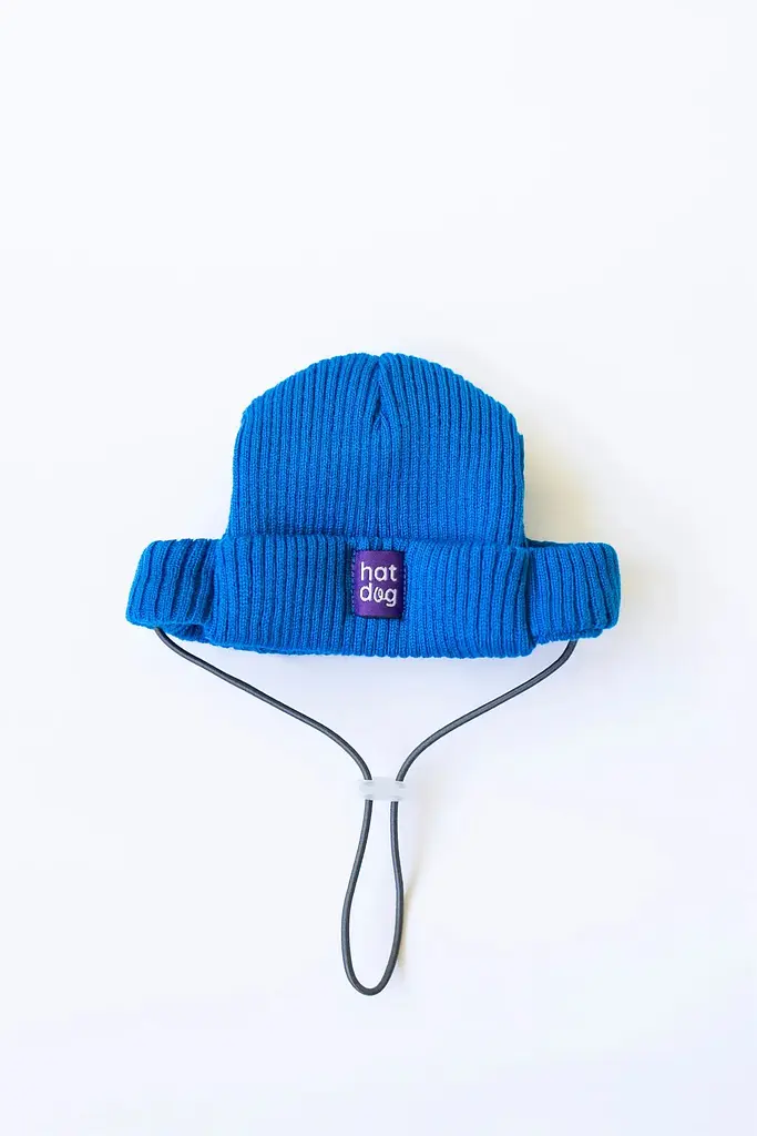 Шапка для собак Hat-Dog синя (XXL) - фото 6