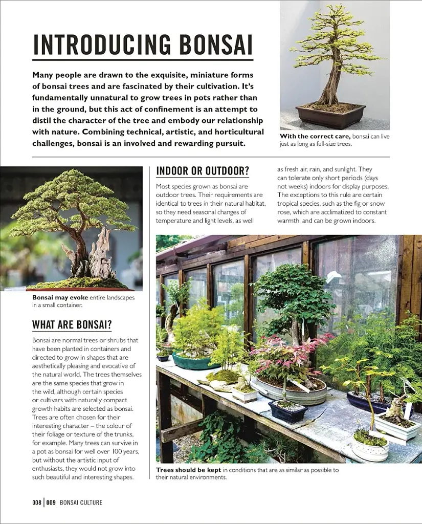 Grow Bonsai - фото 5