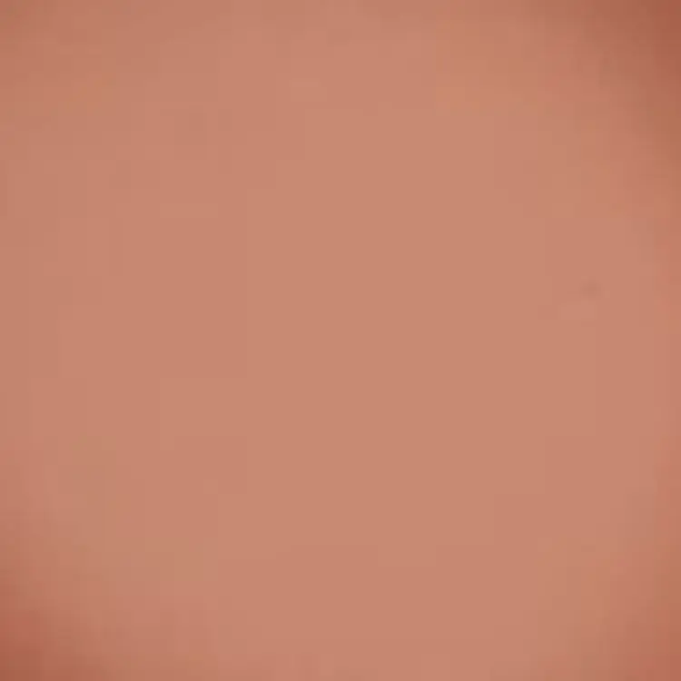 Компактні рум'яна BeYu Velvet Blush 09 4 г - фото 2