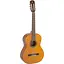 Классическая гитара Admira Paloma Satin [130452] - миниатюра 1