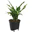 Вставка з автополивом Elho Self-Watering Insert 15 см (546694) - мініатюра 3