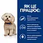 Сухий корм для собак малих порід Hill’s Prescription Diet z/d Mini при харчовій алергії, 1 кг - мініатюра 4