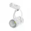 Светильник трековый поворотный LED 423/10W NW WH/SL Brille 32-326 - миниатюра 1