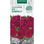 Насіння Петунія махрова Насіння України Дуо F1, 10 шт. бордова (797000) - мініатюра 1