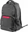Легкий рюкзак с отделом для ноутбука 15,6 дюймов Eland Natec 31x44x18 см sum0021257 - миниатюра 3