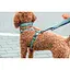 Шлея Trixie CityStyle H-harness для собак бавовна L-XL 75-120 см 25 мм світло-зелений - мініатюра 7