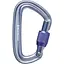 Карабин Black Diamond LiteForge Screwgate Carabiner Серый (1033-BD 210248.1003) - миниатюра 1