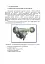Порядок застосування підрозділів протитанкових ракетних комплексів «Javelin FGM-148» - мініатюра 7