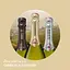 Уценка. Вино игристое Martini Prosecco, 11,5%, 0,75 л (522681) - миниатюра 7