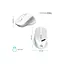 Мишка OfficePro M520W Wireless/Bluetooth White (M520W) - мініатюра 12