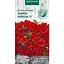 Семена Петуния Ампельная Насіння України Лавина красная F1 10 шт. (796500) - миниатюра 1