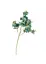 Гілка "Еустома", блакитна 88 см Elisey   - мініатюра 1