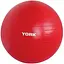 Фитбол York Fitness 55см красный + насос - миниатюра 1
