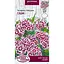 Насіння Гвоздика турецька Насіння України Глорі 0.25 г (752100) - мініатюра 1