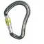 Карабін DMM Big Boa SG (1012-A892) - мініатюра 1