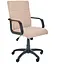 Кресло Фаворит Пластик на механизме качания Кожзам бежевый - мініатюра 1