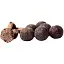 Бойли Bounty Boiled Bait Boilies Belachan 24mm 0.8kg - мініатюра 1
