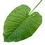 Искусственные листья Taro светлые 95 см (DW-41) - миниатюра 2