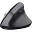 Мышь Trust Bayo+ Ergonomic Black (25146) [139426] - миниатюра 3
