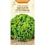 Насіння Салат листовий Насіння України Одеський кучерявець 1 г (624700) - мініатюра 1