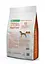 Сухой корм для собак с рыжим окрасом Superior Care Red Coat Grain 4 кг - миниатюра 2