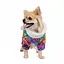 Комбінезон Pet Fashion Amaze для собак, розмір M, з принтом - мініатюра 2