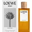 Парфумована вода Loewe Solo Mercurio 100 мл - мініатюра 1