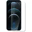 Защитная пленка StatusSKIN для Apple iPhone 12 Pro Max Экран Глянцевая Lite - миниатюра 1