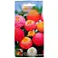 Циния "Лилипут смесь" Весна 0.4г (11660) - миниатюра 1
