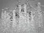 Сучасна кришталева люстра "Гліцинія" витягнутої форми на 12 ламп, хром - мініатюра 3