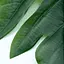 Искусственные листья Engard Monstera 56см (TW-48) - миниатюра 3