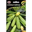 Насіння НК Еліт Кабачок Чаклун 20 г (67528) - мініатюра 1