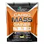 Гейнер Powerful Progress Carbo Mass Gainer 4000 г (1086-100-79-2800120-20) - миниатюра 1