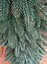 Гирлянда из хвои Премиум 2 м литая (Зеленая) - миниатюра 4