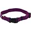 Ошейник для собак Coastal New Earth Soy Dog Collar соевый эко Фиолетовый L 2.5 х 46-66 см - миниатюра 1
