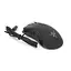 Миша провідна RAZER DEATHADDER, 16000DPI, кабель 1,5 м, Black, Box - мініатюра 2