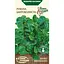 Насіння Рукола широколиста Насіння України 1 г (572700) - мініатюра 1