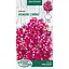 Насіння Кермек Насіння України Рожеве сяйво 0.2 г (802600) - мініатюра 1