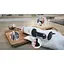Блендер Bosch MSM4W221 (00000055603) - миниатюра 7
