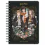 Щоденник шкільний Kite Harry Potter на спіралі тверда обкладинка (HP23-438) - мініатюра 1
