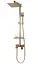 Душова система Rea Jack Brushed Gold з виливом REA-P7050, Золотий - мініатюра 5