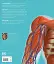 The Definitive Visual Guide: Complete Human Body - мініатюра 2