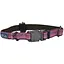Нашийник для собак Coastal K9 Explorer 1,6 х 20-30 см нейлон (36422_ROB12) - мініатюра 1